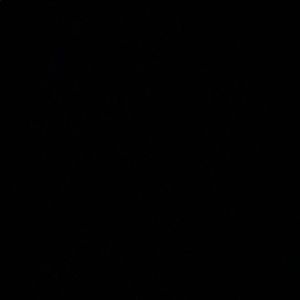 Meet your Posher, Eli